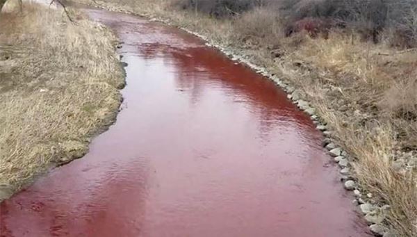 Канадская река стала кроваво красной